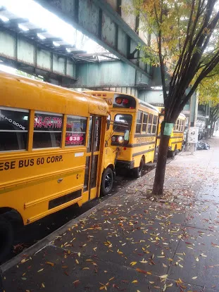 CB 60 transportation service