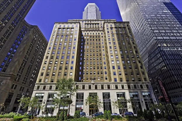 Cedar Management Consulting International