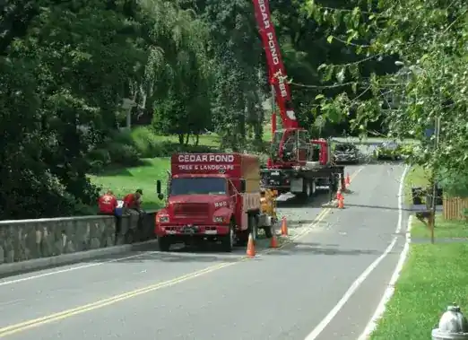 Cedar Pond Tree and Crane Service