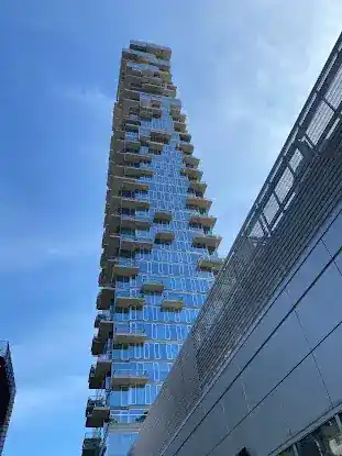 Center For Justice & Democracy