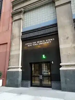 Center for Neural Science New York University