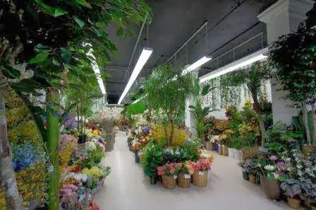 Center of Floral Design