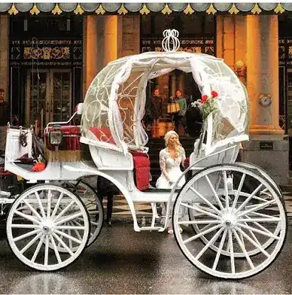 Central Park Carriages