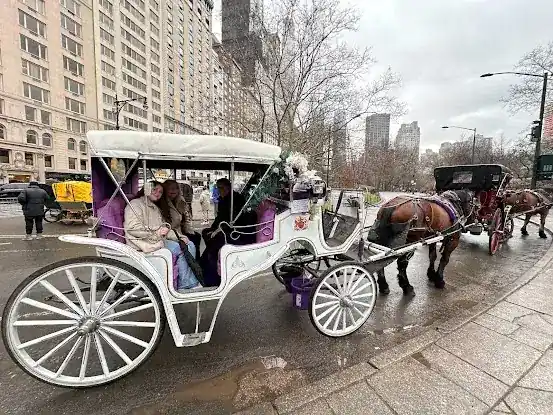 Central Park Tours