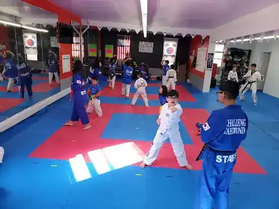 Challenge Taekwondo . Roosevelt ave