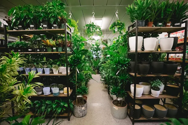 Chelsea Garden Center