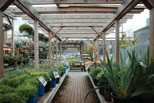 Chelsea Garden Center