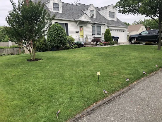 ChemTurf Lawn Service