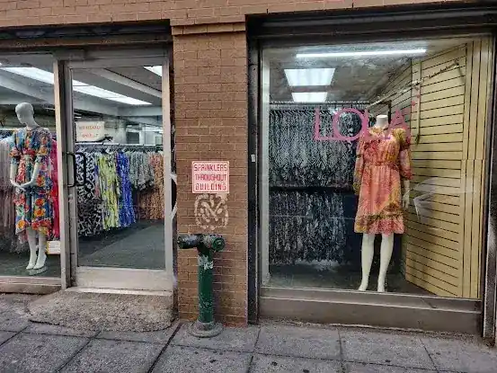 Chic Lady