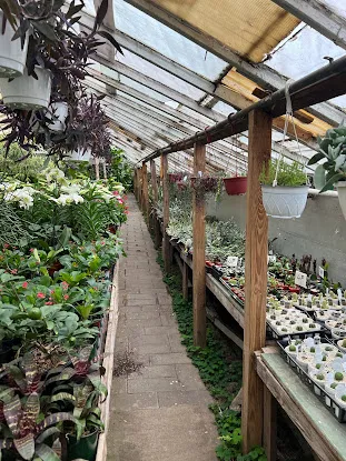 Chick's Nurseries Inc