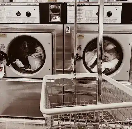Chinese Laundry Inc.