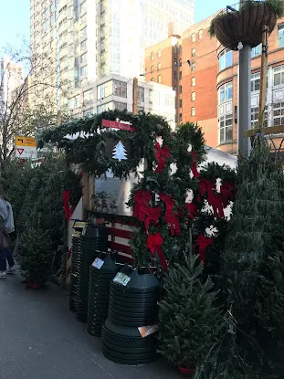Christmas Tree Market