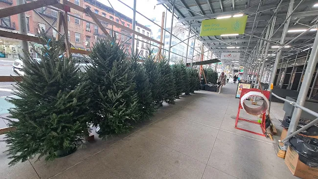 CHRISTMAS TREE U.E.S. 🎄 🎄 🎄