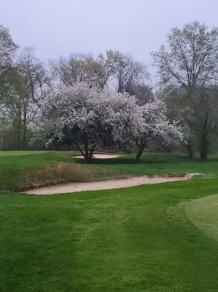 Christopher Morley Park Golf