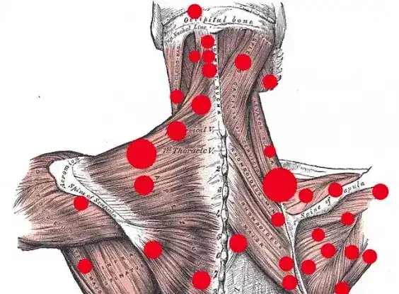 Chrysalis Massage and Bodywork