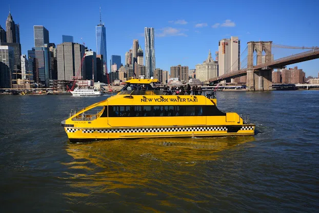 Circle Line Sightseeing Cruises - Pier 16