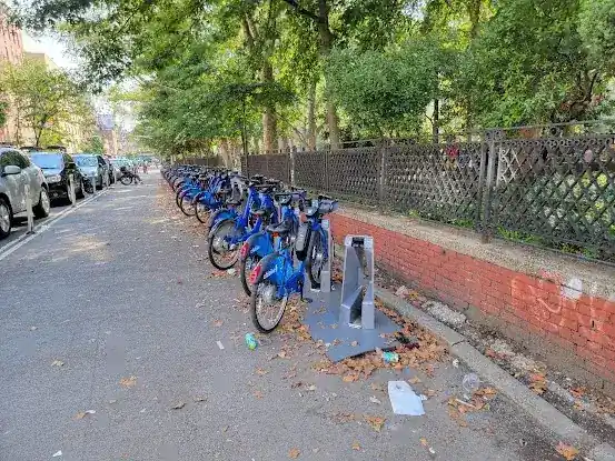 Citi Bike: Forsyth St & Broome St