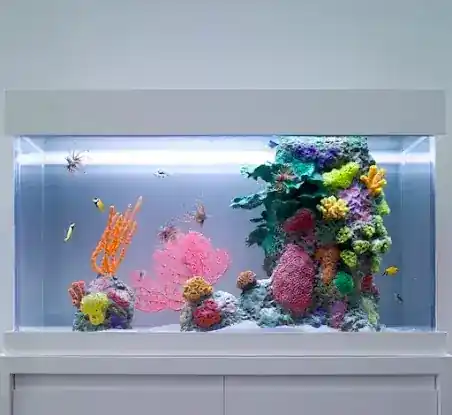 City Aquarium LLC