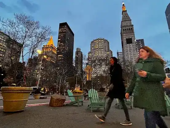 City Critters