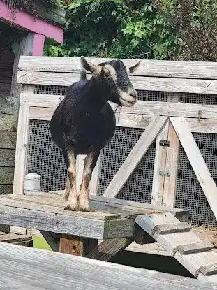 City Green Farm Eco-Center