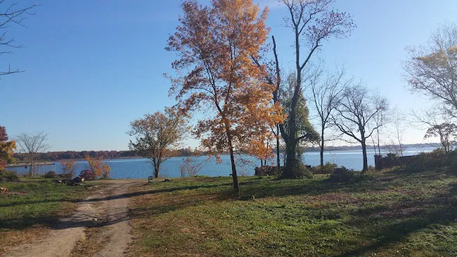 City Island Wetlands