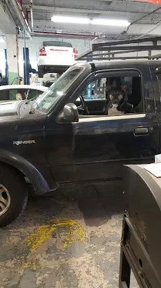 CJV Auto Repair & Auto Body