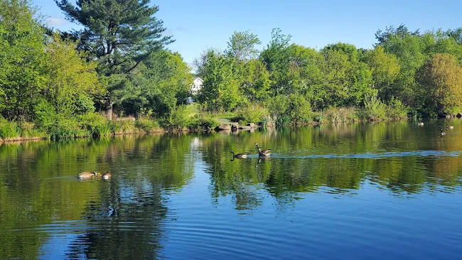 Clarks Pond