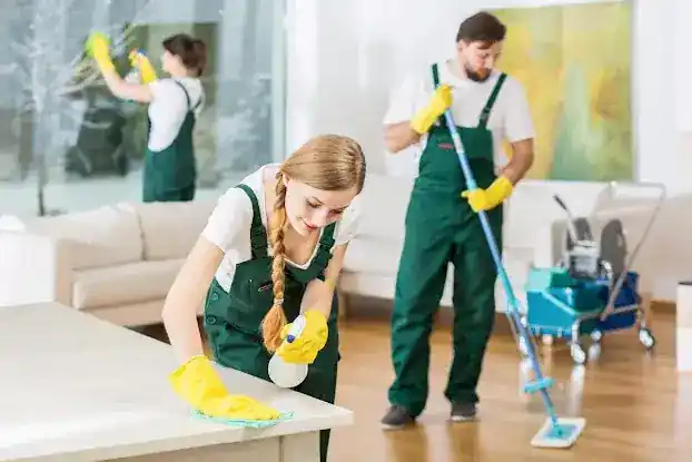 Clean Home NYC - Brooklyn and Manhattan ONLY