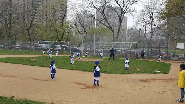 Co-op City Field