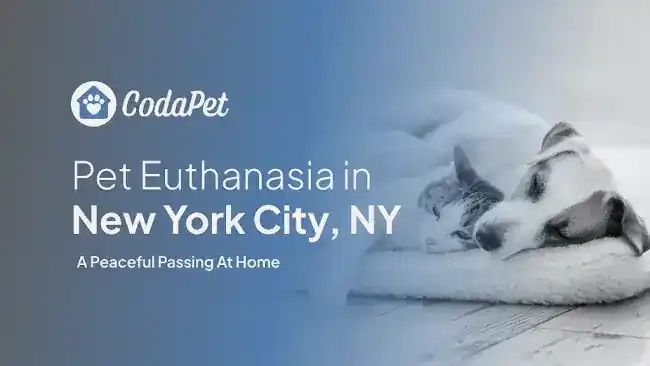CodaPet - At Home Pet Euthanasia in New York City