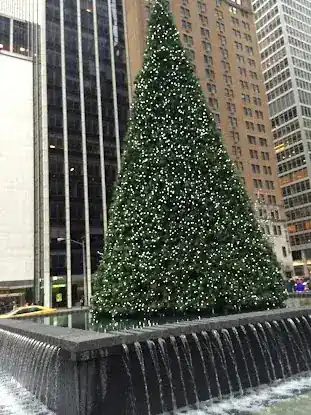 CohnReznick LLP