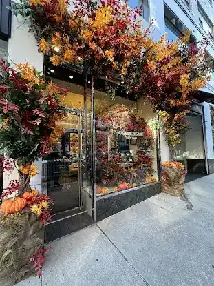 Collezione New York