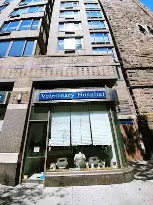 Columbus Circle Veterinary Hospital