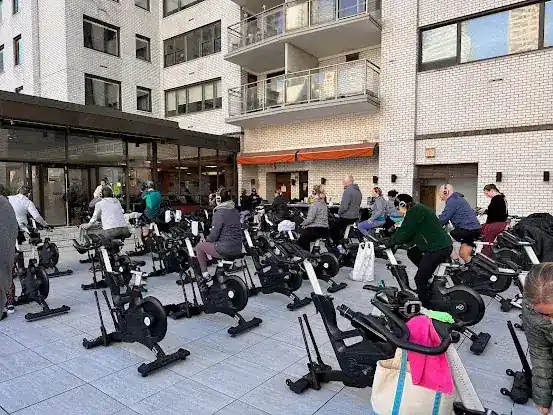 Comeback Cycle