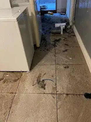 Commercial Cleaning Services NYC