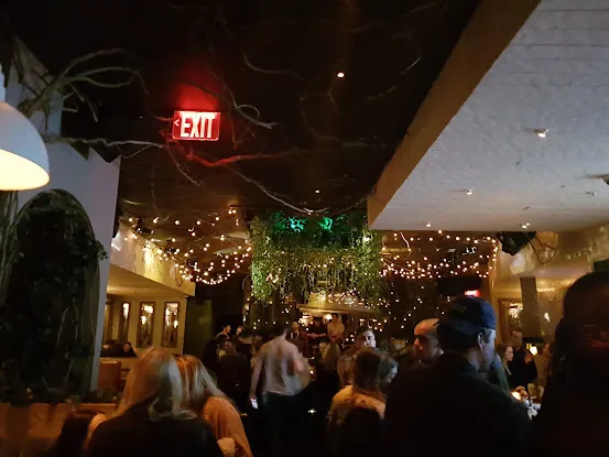 Common Ground Bar