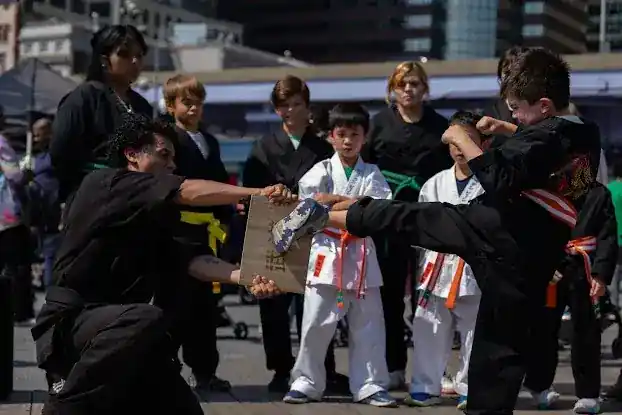 Complete Martial Arts School FIDI