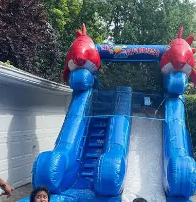 Concorito Party Rental and Entertainment