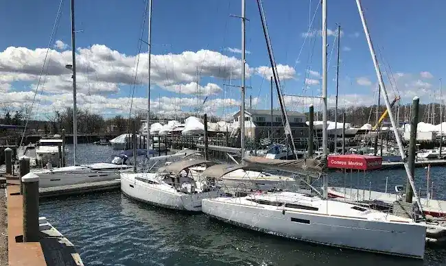 Coneys Marine