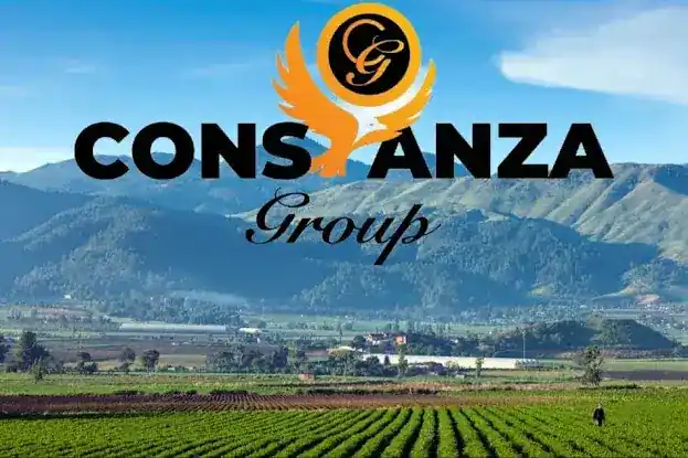 Constanza Group