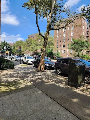 Contact Realty of NYC