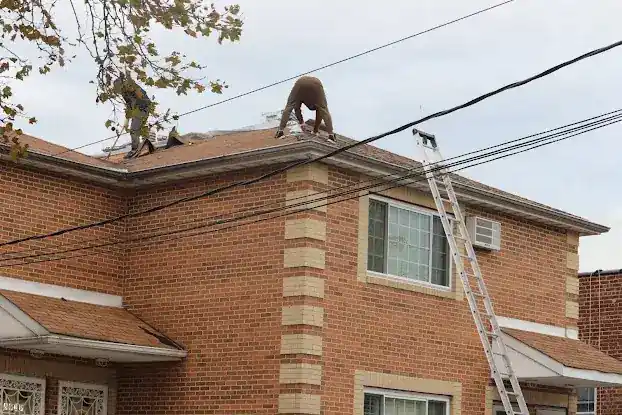 ContractorsIn Roofing & Waterproofing