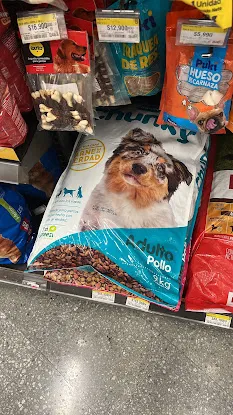 Cosalo.com