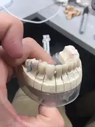 Crador Lab