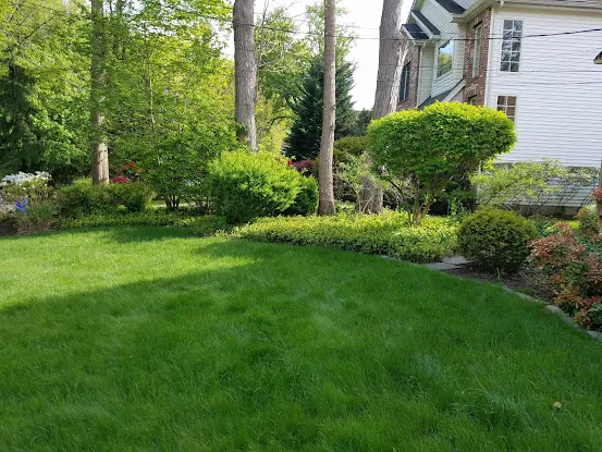 CREW CUT LANDSCAPING LLC