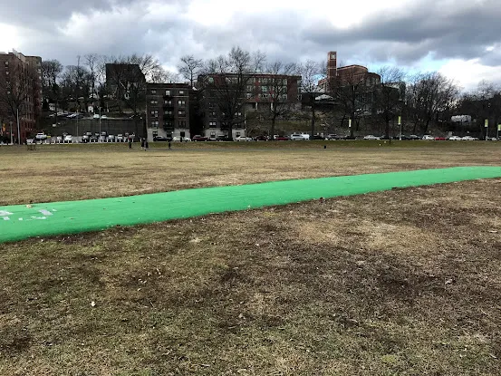 Cricket pitch #1