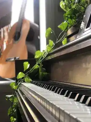 Crown Heights Music School