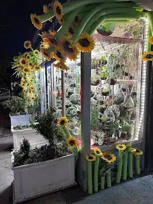 Crystal Gardens TERRARIUMS