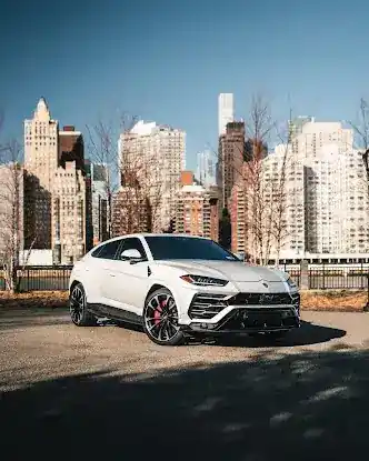 CS Exotics & Chauffer