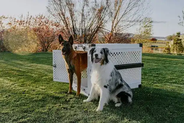 Cuddlytails